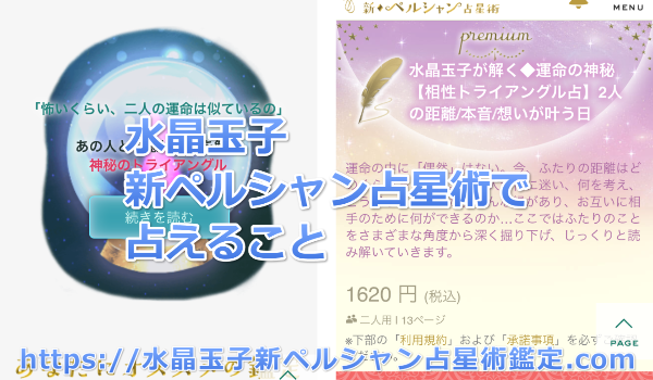 新ペルシャン占星術で占えること